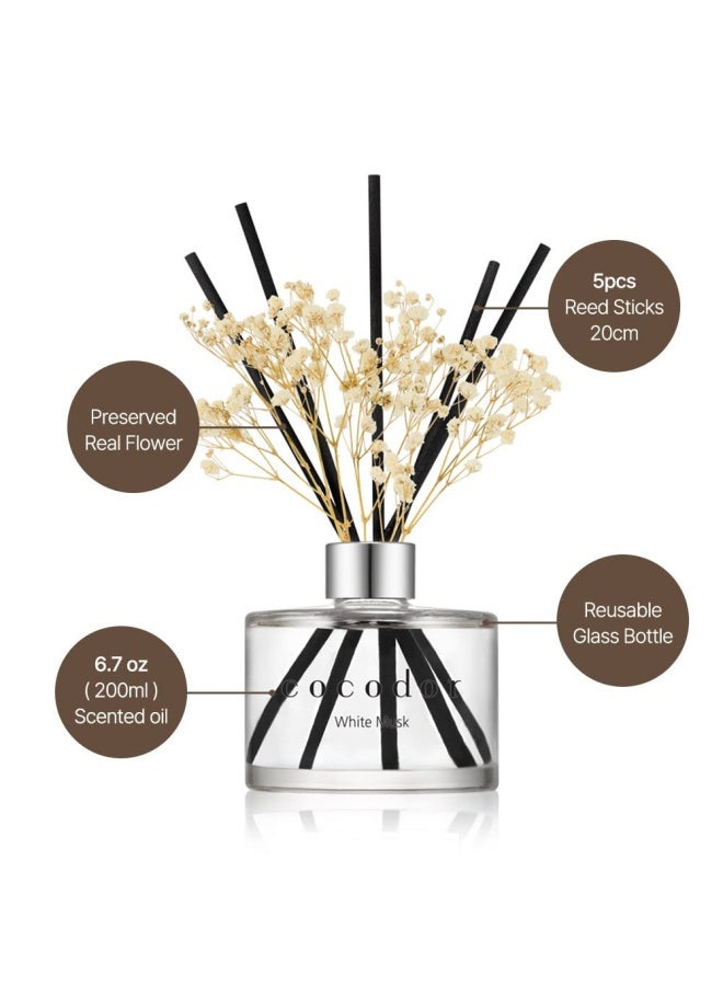 Cocod Or Cocodor Preserved Real Flower Reed Diffuser Black Cherry 6.7Oz 200Ml 1 Pack Reed Diffuser Set Oil Diffuser And Reed Diffuser Sticks Home Decor And Office Decor Fragrance And Gifts