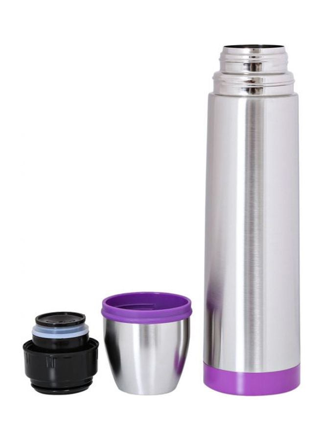 Stainless Steel Flask 591ml Silver/Purple