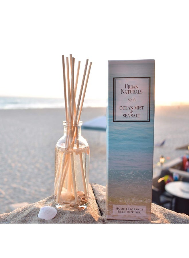 Ocean Mist And Sea Salt Reed Diffuser Set Made With Essential Oils And Real Botanicals Decorative Air Freshener For Large Rooms Beautiful Home D Cor Makes A Great Gift