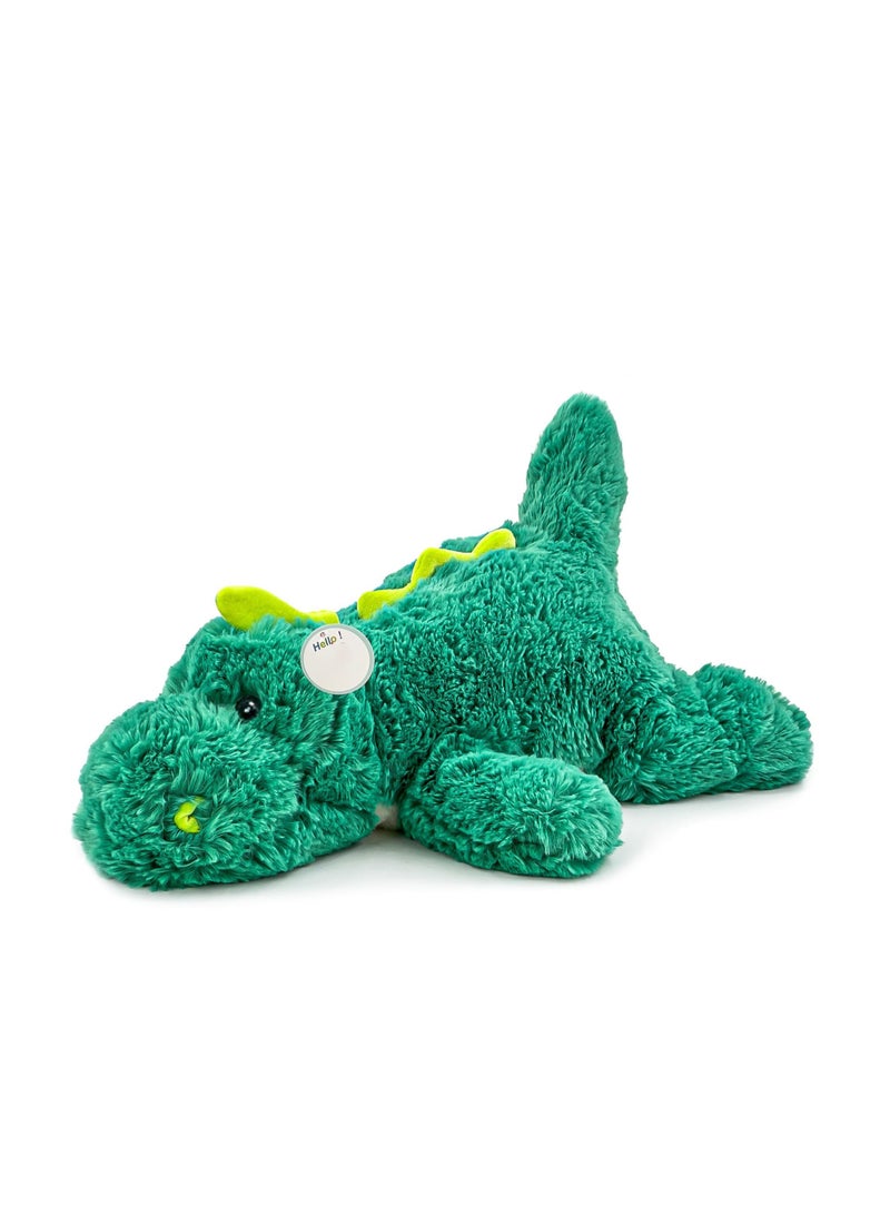 Green Dinosaur Weighted Stuffed Animals,Sensory Comfort Plush Throw Pillow Toy,Plushies Hugging Toy Gifts for Kids & Adults (Dinosaur, 16 inch 2 Pounds)