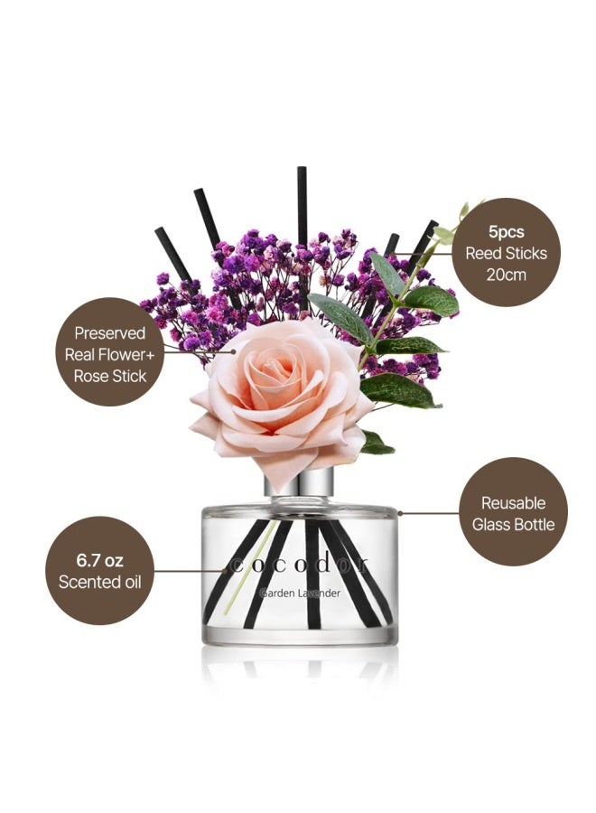 Cocod Or Cocodor Rose Flower Reed Diffuser Black Cherry 6.7Oz 200Ml 1 Pack Reed Diffuser Reed Diffuser Set Oil Diffuser And Reed Diffuser Sticks Home Decor And Office Decor Fragrance And Gifts