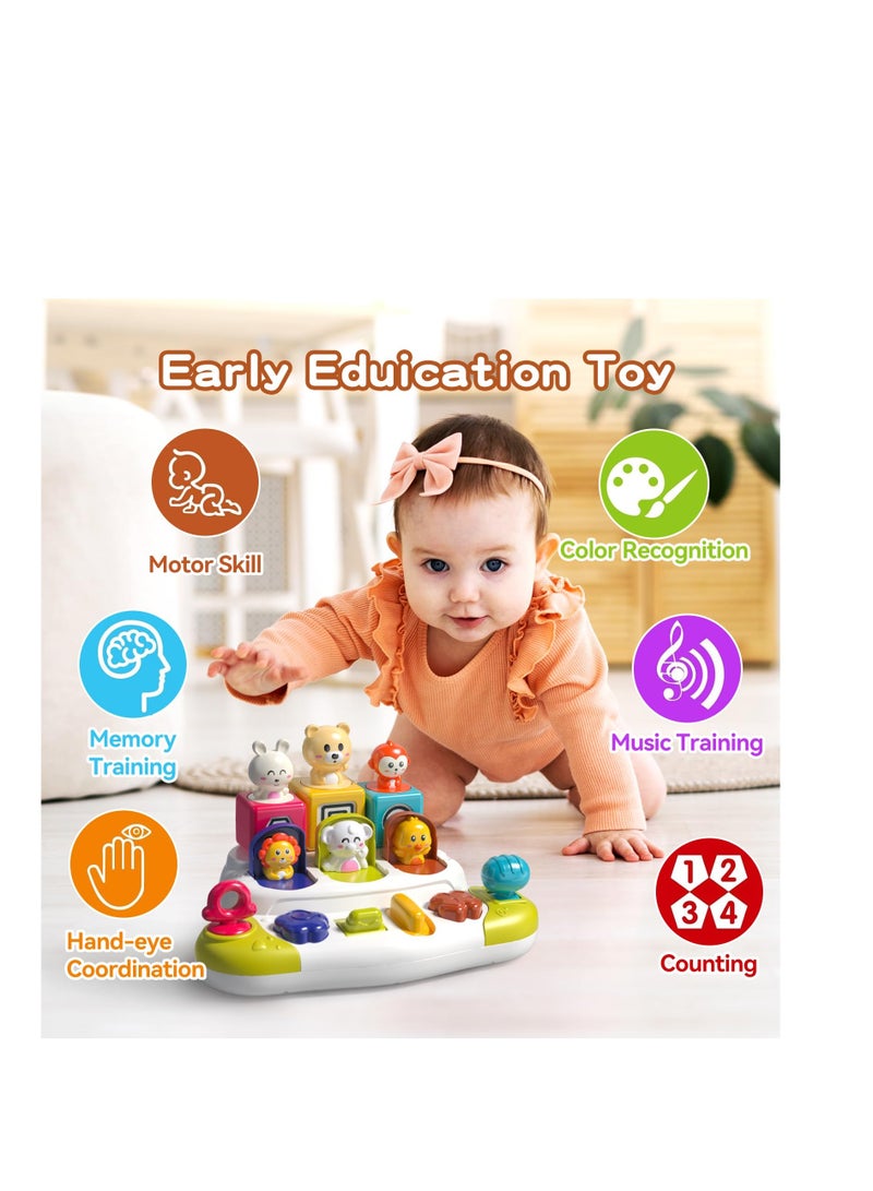 Interactive Pop-Up Toy, Learning Toy for Sorting Colors and Animals, Montessori Toy Cause and Effect Toy, Kids Gift Toy Age 1-2,  Early Learning for 9-12-18 Months Kids