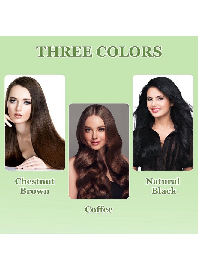 Huang Yi Natural Plant Hair Dye New Botanical Bubble Hair Dye 20Ml 10Packsbox Pure Plant Extract For Grey Hair Color Bubble Dye New Botanical Bubble Hair Shampoo (Natural Black)