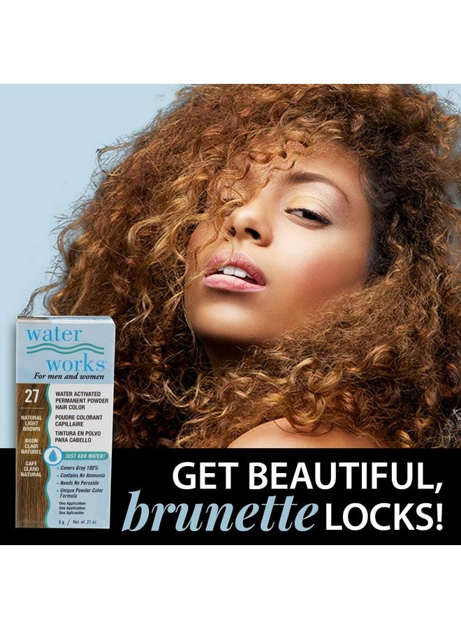 Powder Hair Color Permanent Light Brown 3 Packs