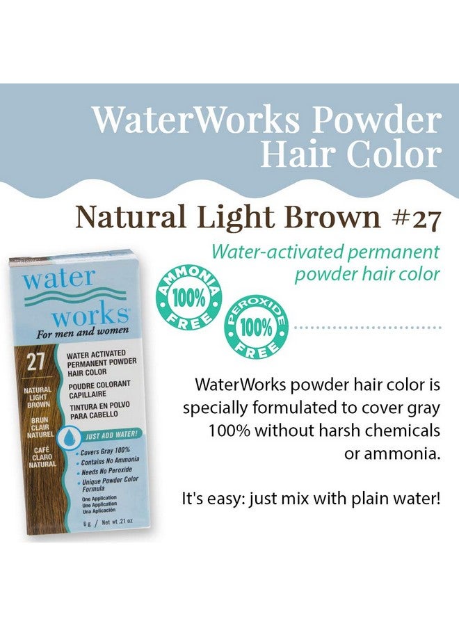 Powder Hair Color Permanent Light Brown 3 Packs
