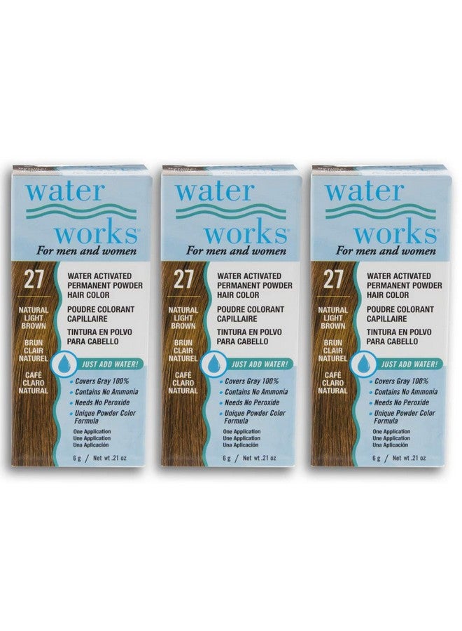 Powder Hair Color Permanent Light Brown 3 Packs