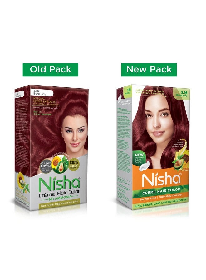 Cream Hair Color (120 Ml/Each) With Rich, Bright, Long Lasting Shine Hair Color No Ammonia Cream Formula Smooth Care For Your Precious Hair! (Pack Of 2, Burgundy 3.16)