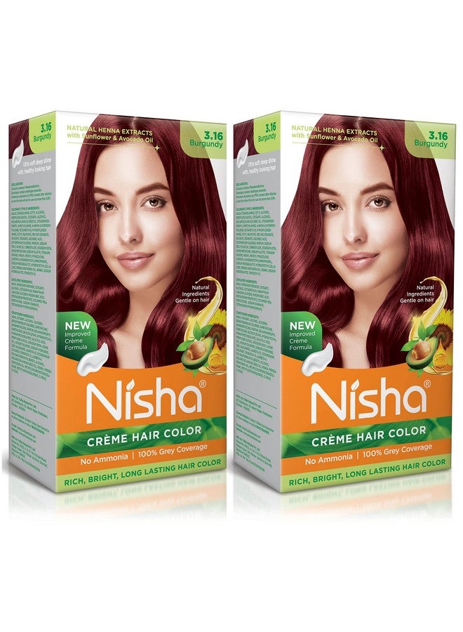 Cream Hair Color (120 Ml/Each) With Rich, Bright, Long Lasting Shine Hair Color No Ammonia Cream Formula Smooth Care For Your Precious Hair! (Pack Of 2, Burgundy 3.16)