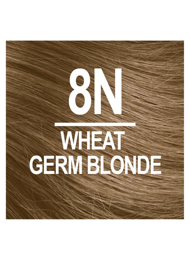 Permanent Hair Color 8N Wheat Germ Blonde (Pack Of 1) Ammonia Free Vegan Cruelty Free Up To 100% Gray Coverage Long Lasting Results