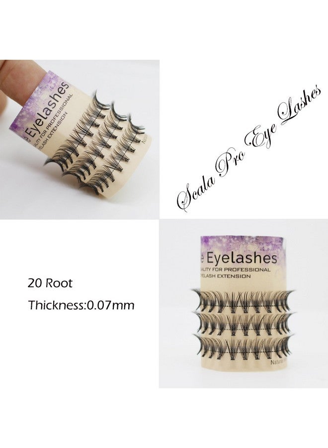 Beauty Natural Long 20 Root 0.07 C Curl 3D Profession Individual Eyelashes Extension Soft Black Fake False Eye Lashes Tools820Mm To Choose (10Mm)