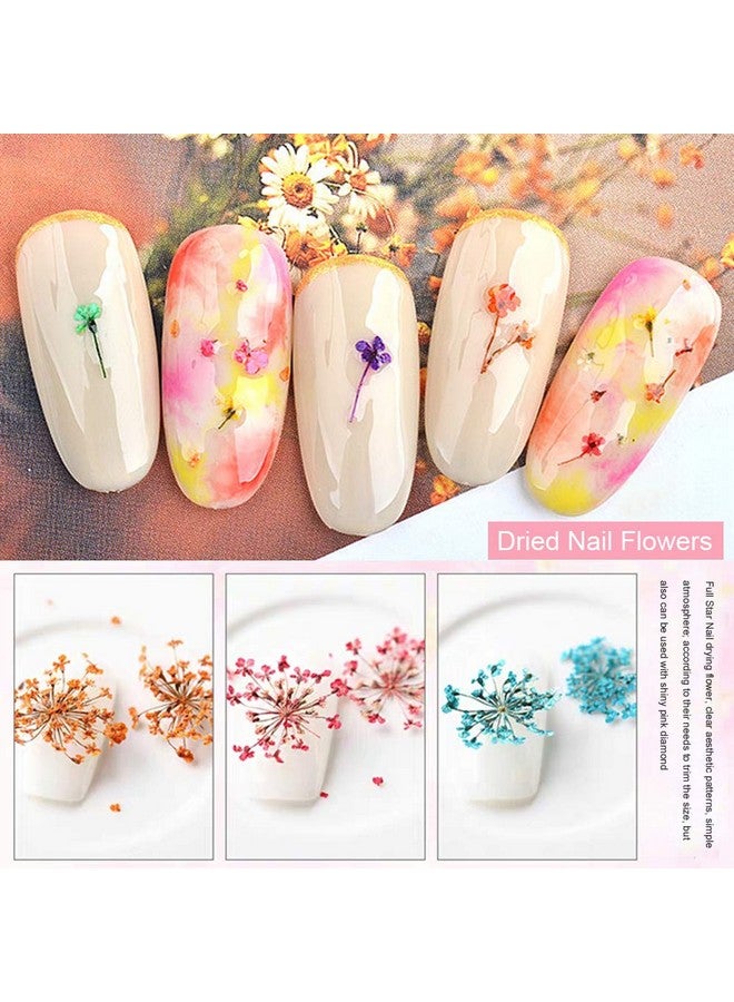 12 Colors 3D Dried Flowers Nail Art Decals Colorful Dried Gypsophila Flowers Nail Art Stickers Decoration 3D Nail Decoration For Uv Gelacrylic Nail Design