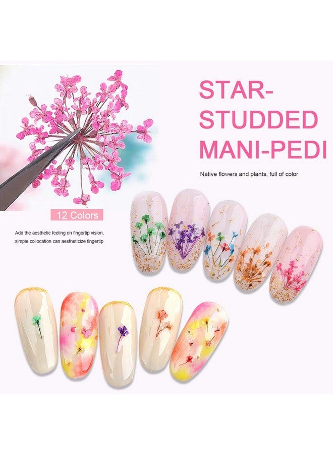 12 Colors 3D Dried Flowers Nail Art Decals Colorful Dried Gypsophila Flowers Nail Art Stickers Decoration 3D Nail Decoration For Uv Gelacrylic Nail Design