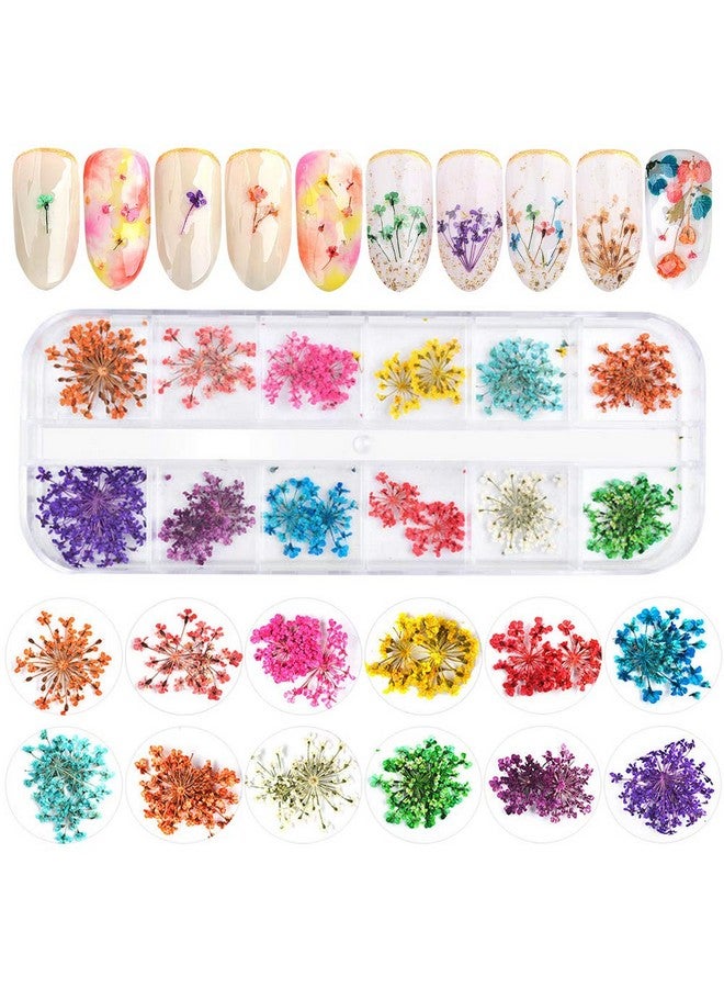 12 Colors 3D Dried Flowers Nail Art Decals Colorful Dried Gypsophila Flowers Nail Art Stickers Decoration 3D Nail Decoration For Uv Gelacrylic Nail Design