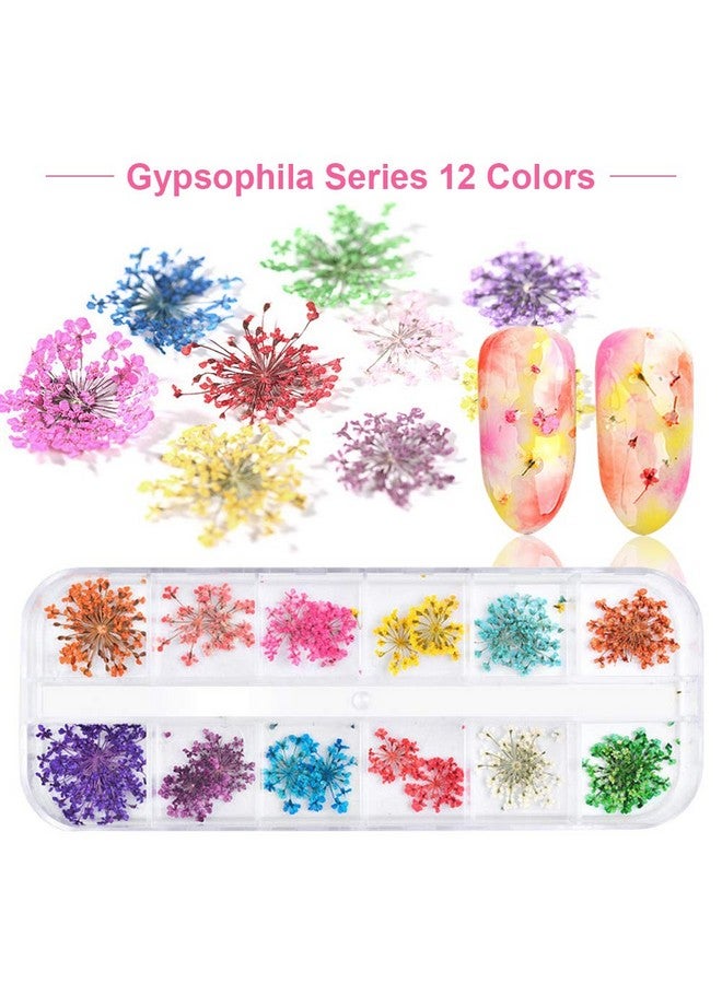 12 Colors 3D Dried Flowers Nail Art Decals Colorful Dried Gypsophila Flowers Nail Art Stickers Decoration 3D Nail Decoration For Uv Gelacrylic Nail Design