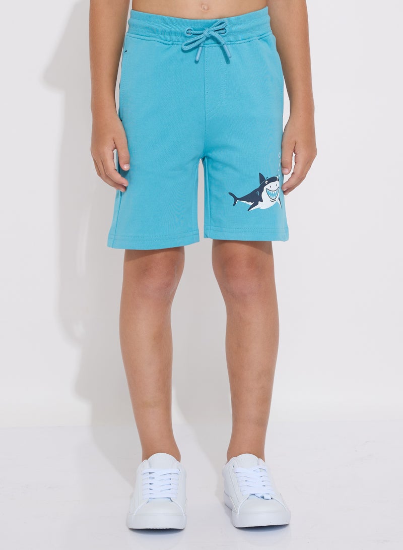 Boys' Summer Outfit Set: 2-Piece T-Shirts & Shorts - Blue (2-8 Years)