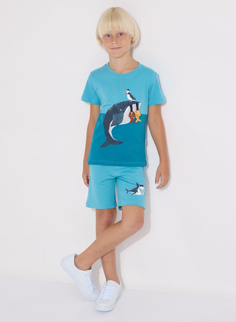 Boys' Summer Outfit Set: 2-Piece T-Shirts & Shorts - Blue (2-8 Years)