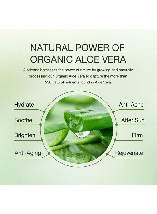 Soothing Face Cream Made With 75% Organic Aloe Vera Calming Facial Cream With Squalane & Vitamin E For Dry, Sensitive Skin Reduces Redness, Helps Protect Damaged Skin, 50G/1.76Oz