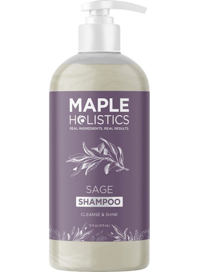 Sage And Rosemary Shampoo Sulfate Free Ultra Clarifying Shampoo For Build Up And Dry Scalp Treatment With Cleansing Essential Oils For Hair Sulfate Free Shampoo For All Hair Types With Sage Oil