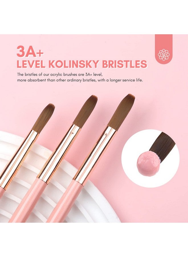 3Pcs Acrylic Nail Brush Set Size 81014 Kolinsky Acrylic Nail Brushes For Acrylic Application Pink Handle Professional Acrylic Powder Brushes For Nails Extension & 3D Nail Carving