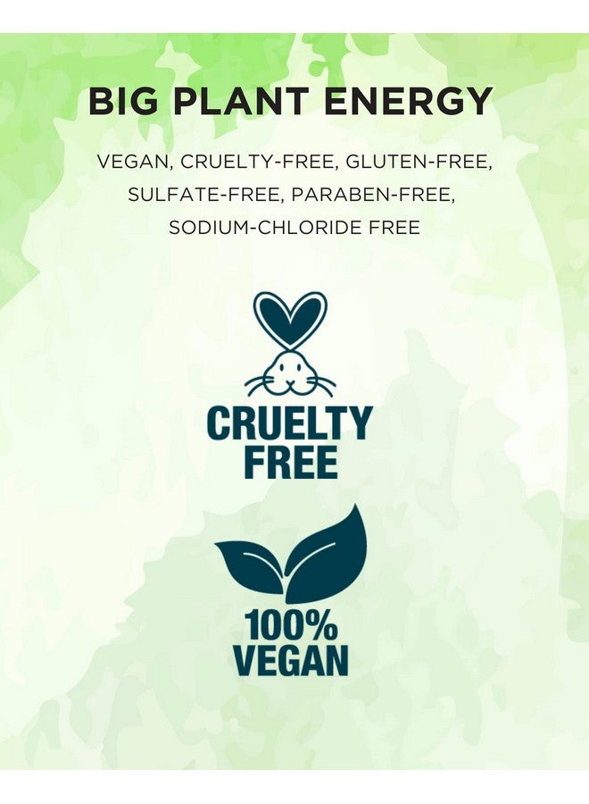 Moisture Conditioner Conditioner Infused With Hydrating Moisturizers And Keratin Amino Acids Repairs Damage And Improves Hair Elasticity 16 Fl Oz (Pack Of 1)