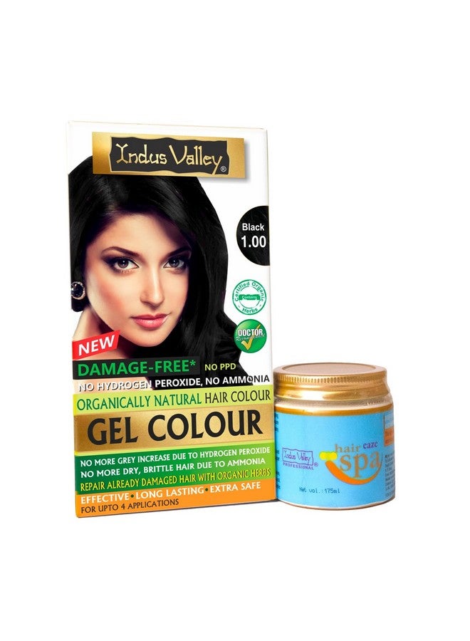 Organically Natural Damage Free Gel Colour Black Herbal Hair Colour With Deep Nourishing Hair Eaze Spa 175Ml For Hair Care (220G + 175Ml)