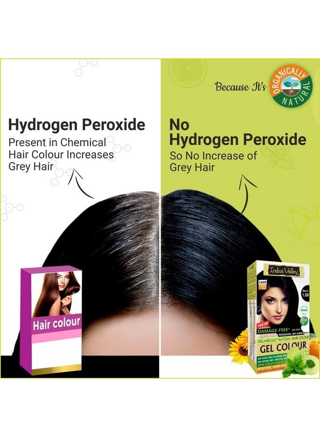 Organically Natural Damage Free Gel Colour Black Herbal Hair Colour With Deep Nourishing Hair Eaze Spa 175Ml For Hair Care (220G + 175Ml)
