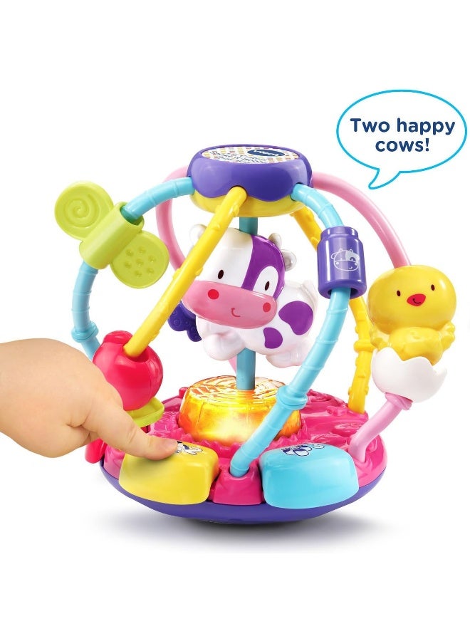 VTech Baby Lil' Critters Shake and Wobble Busy Ball