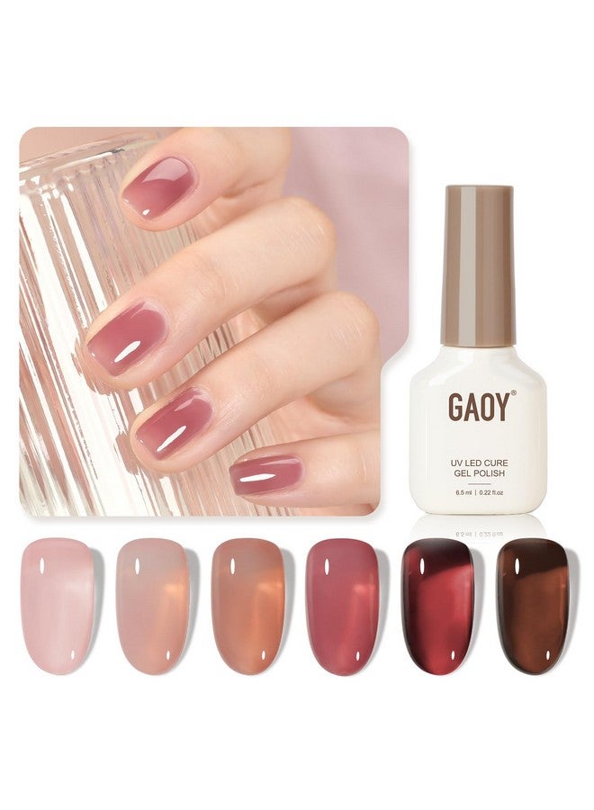 Rose Garden Jelly Gel Nail Polish Of 6 Transparent Nude Red Pink Brown Colors Sheer Gel Polish Kit For Salon Gel Manicure And Nail Art Diy At Home