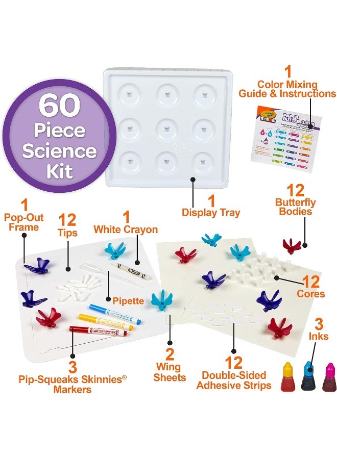 Paper Butterflies Science Kit