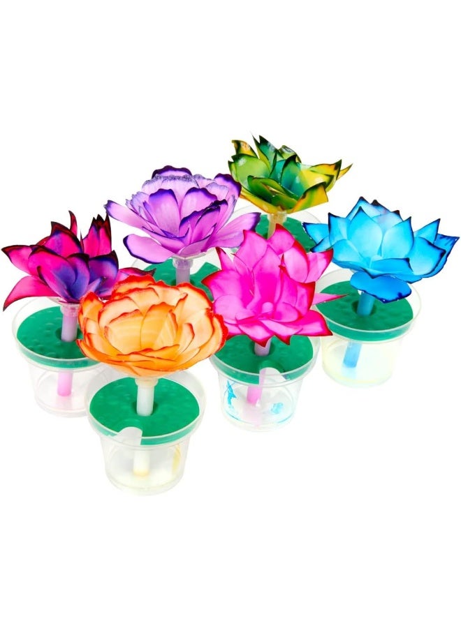 Paper Flower Science Kit