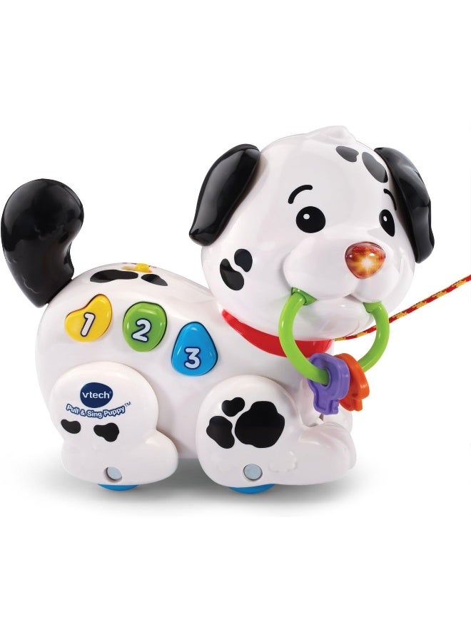 Vtech Pull And Sing Puppy