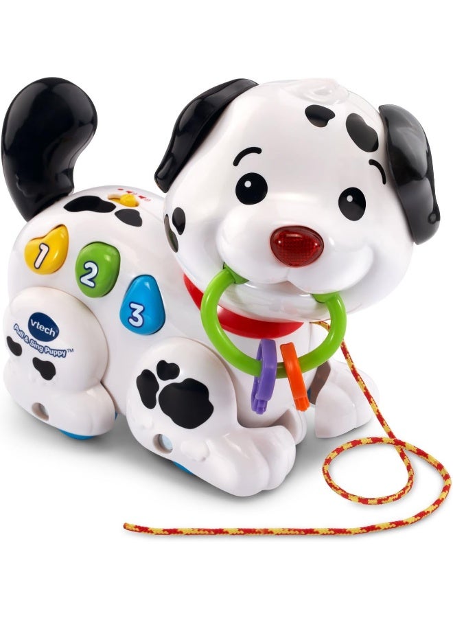 Vtech Pull And Sing Puppy