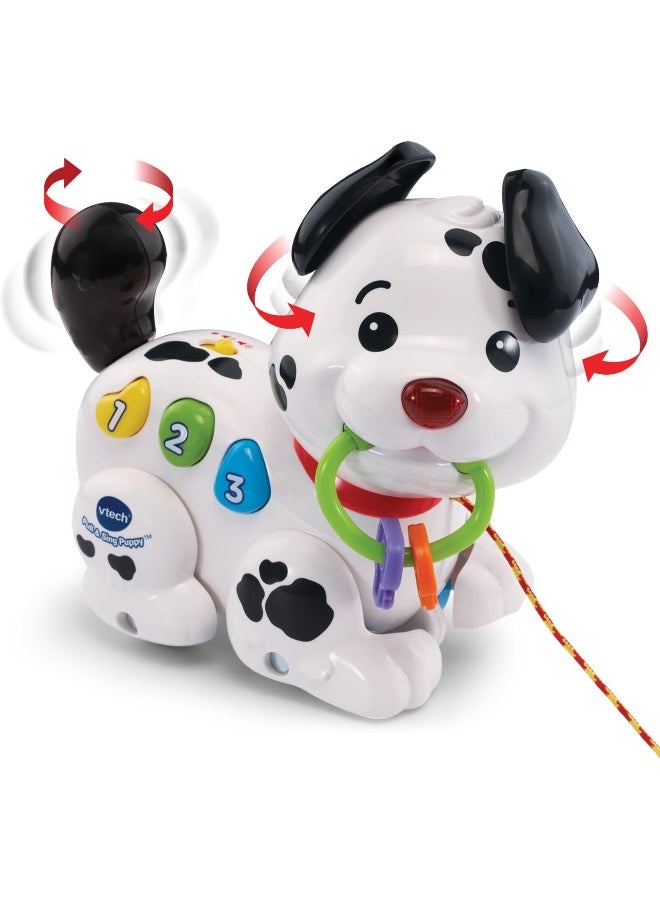 Vtech Pull And Sing Puppy