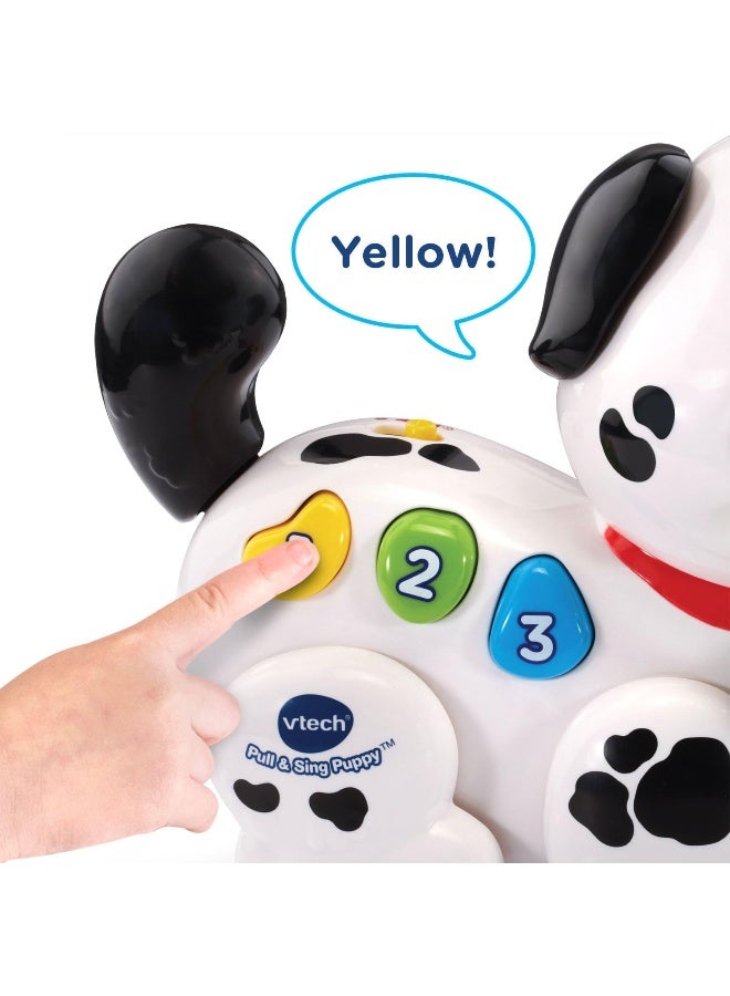 Vtech Pull And Sing Puppy