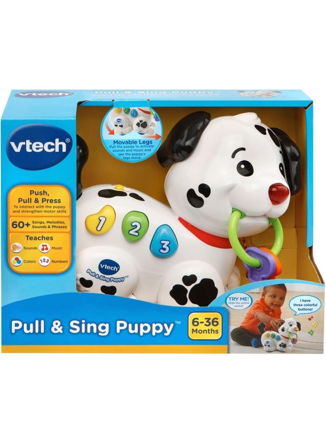 Vtech Pull And Sing Puppy