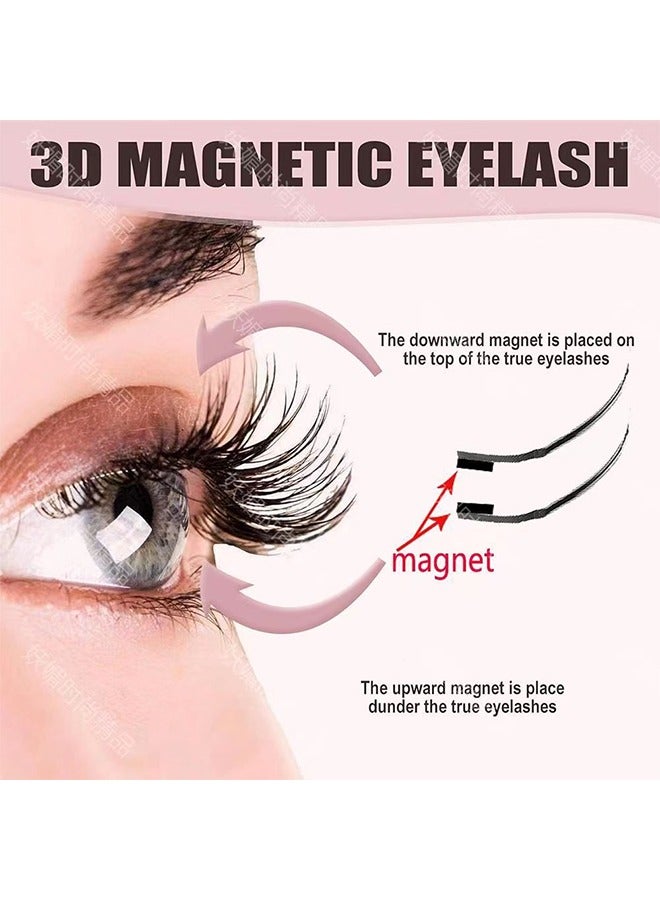 Magnetic Eyelashes 2 Pairs Magnetic Lashes Natural Magnetic Eyelashes with Applicator Eyelashes Magnetic Lashes Easy to Wear Reusable Magnetic Eyelashes Kit（2 Pairs）