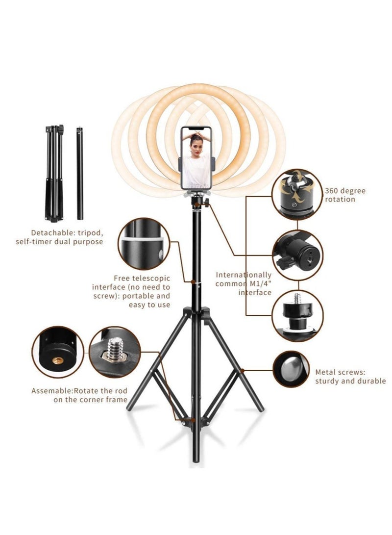 10 Inch 3 Color Ring Light for Phone, Camera & Video Shooting with Portable 7 Feet Tripod Stand for YouTube, Photo-Shoot, Video Shoot, Live Stream, Makeup & Vlogging