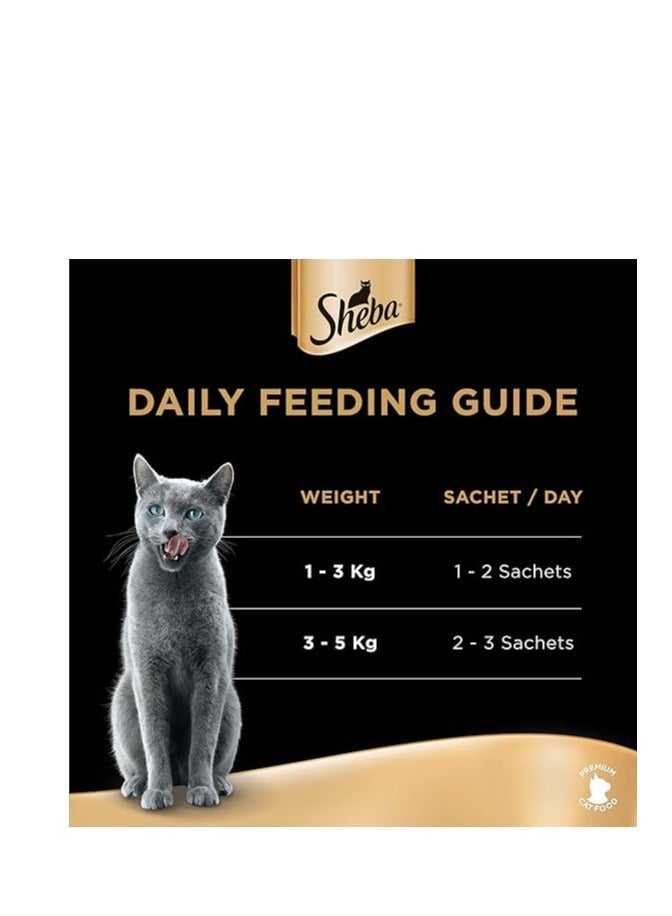 Sheba Cat Food, Melty Mixed Creamy Treats Tuna & Seafood Flavor, 2 Pouches Tuna, Tuna&Seafood,, Pack of 48x12g