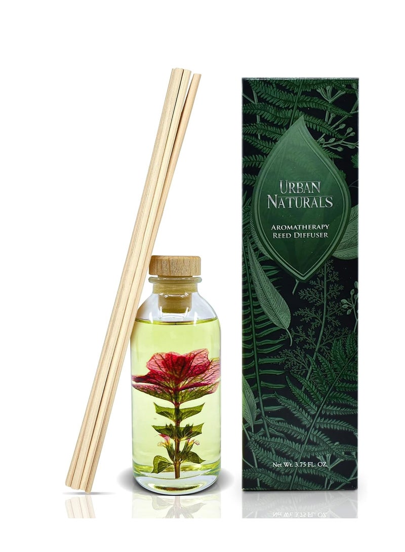 Urban Naturals Black Raspberry Vanilla Reed Diffuser Set | Made with Essential Oils & Real Botanicals | Blackberry, Raspberry, Amber, Vanilla Orchid & Sandalwood | Made in The USA
