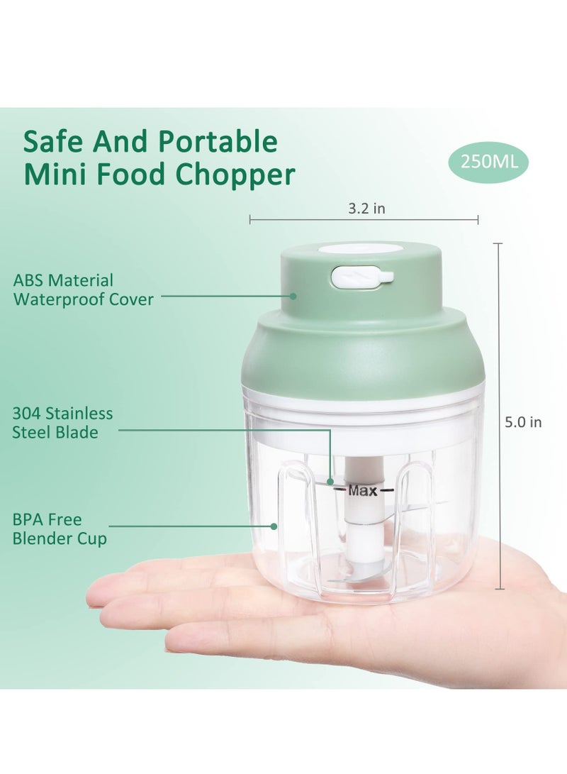 Electric Garlic Chopper, Onion Ginger Salad Pepper Nuts Grinder, 250ML Mini Cordless Food Chopper, for Onion, Ginger, Chili, Vegetables, Minced Meat, Food BPA-Free