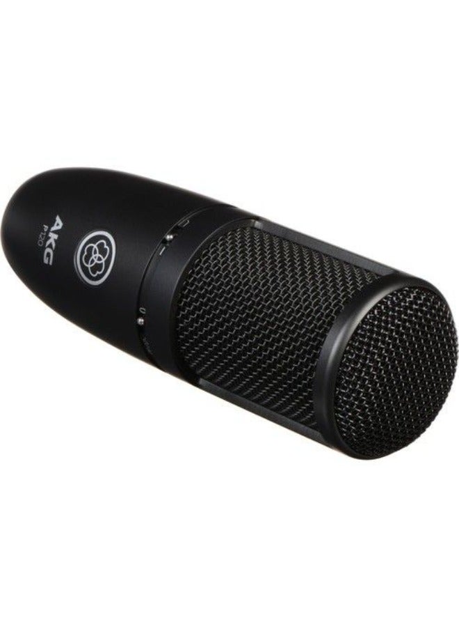 AKG P120 Cardioid Condenser Microphone (Black)