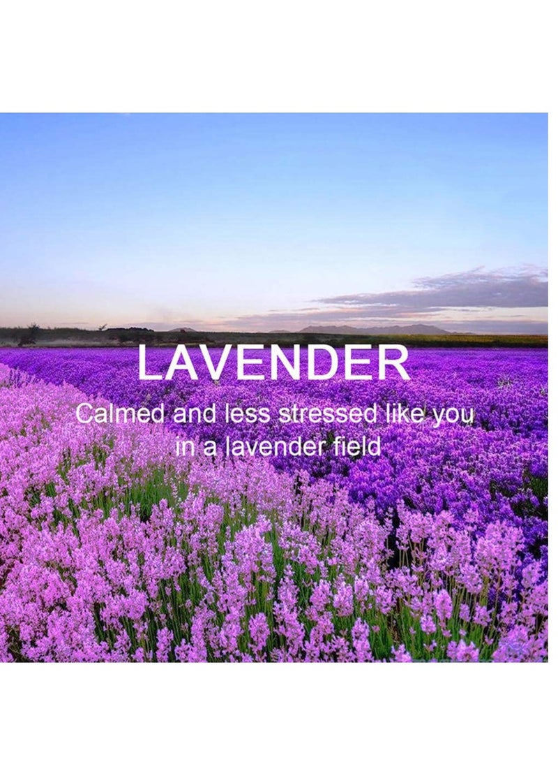 Lavender Scented Hanging Sachets 12 Pack Long Lasting Fresheners for Home and Car Ideal Closet and Drawer Deodorizers