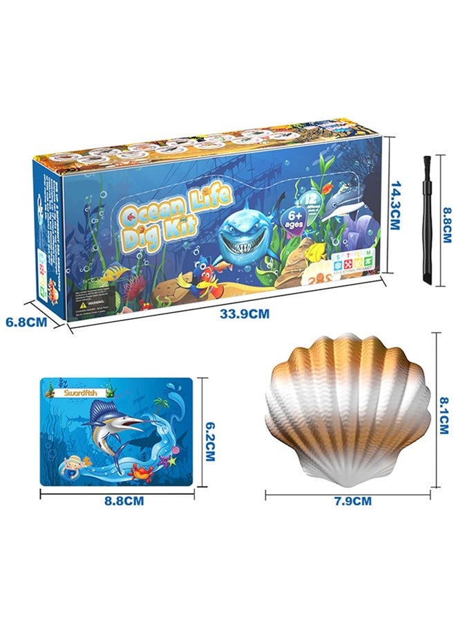 Ocean Animals Dig Kit, Seashell Dig Bricks Exploring 12 Sea Animal Toys Set, Ocean Life Excavation Science Kit For Kids Activities Organism & Educational Toys For Boys, Girls