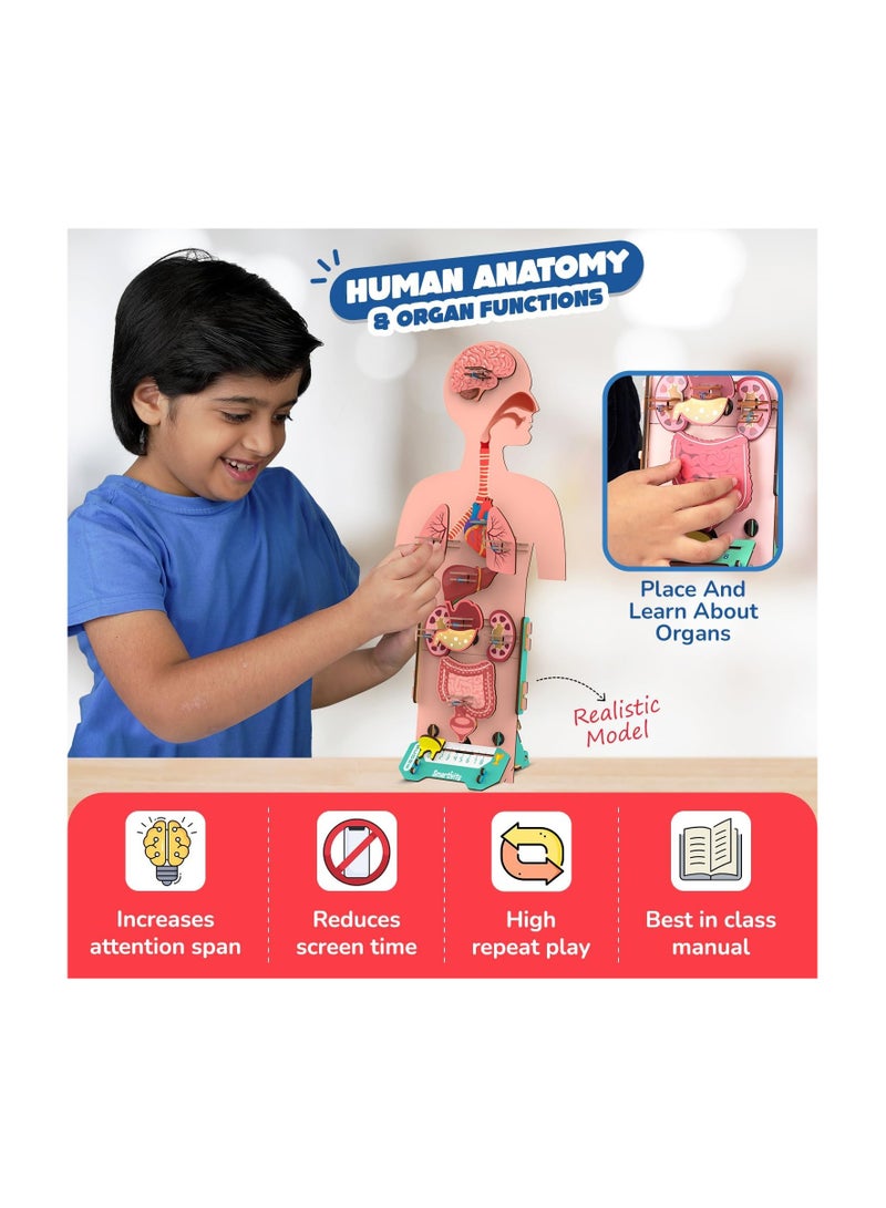 Smartivity Human Body Toy for Kids 6-12 Years | Body Organs & Functions | Best Birthday Gift for Boys & Girls | DIY STEM Educational Science Project Model for Kids 6,7,8,9,10,11,12 Years Old