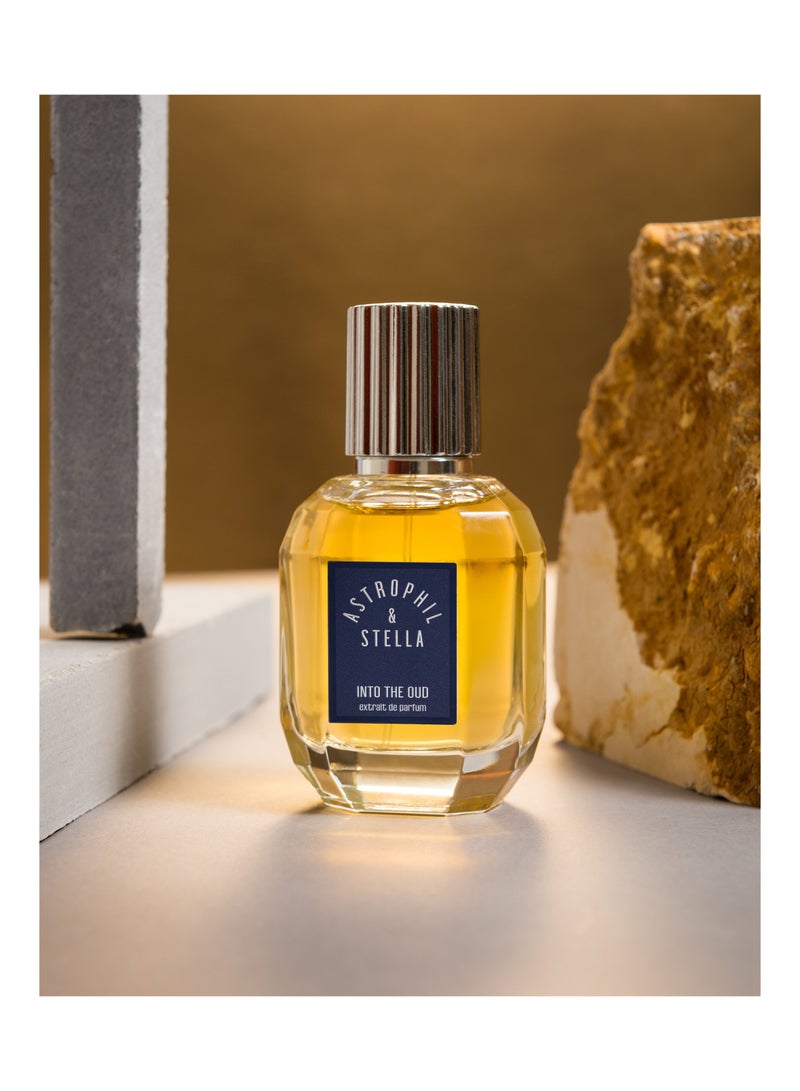 Into The Oud Extrait De Parfum Unisex 50 Ml