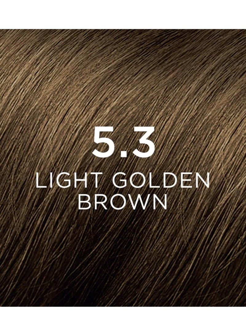 Phytocolor Permanent Hair Color  5.3 Light Golden Brown