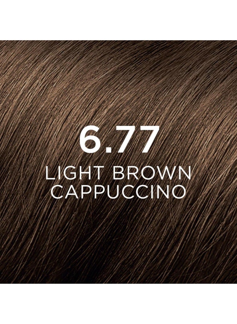 Phyto Phytocolor Permanent Hair Color 6.77 Light Brown Cappucino