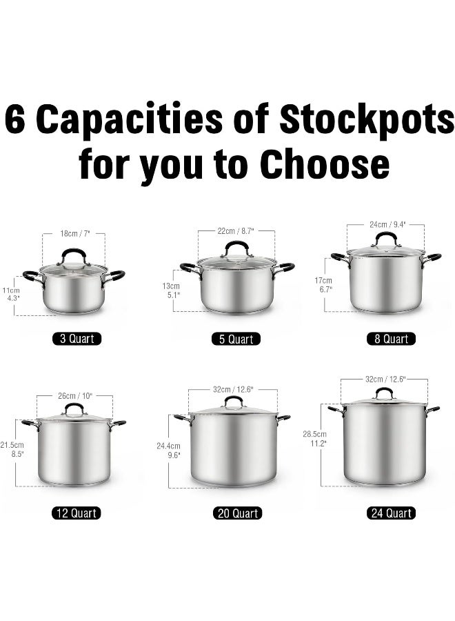 Professional Stainless Steel 12 Quart Stockpot Sauce Pot With Lid