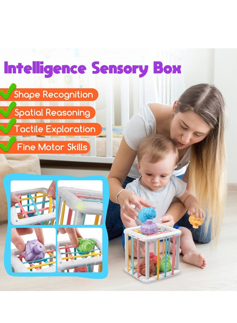 5 in 1 Baby Sensory Toys 6-12-18 Months, Pull String Teether, Stacking Blocks, Sensory Shapes and Colorful Storage Bin, Infant Bath Time Fun, Learning Toddler Toys