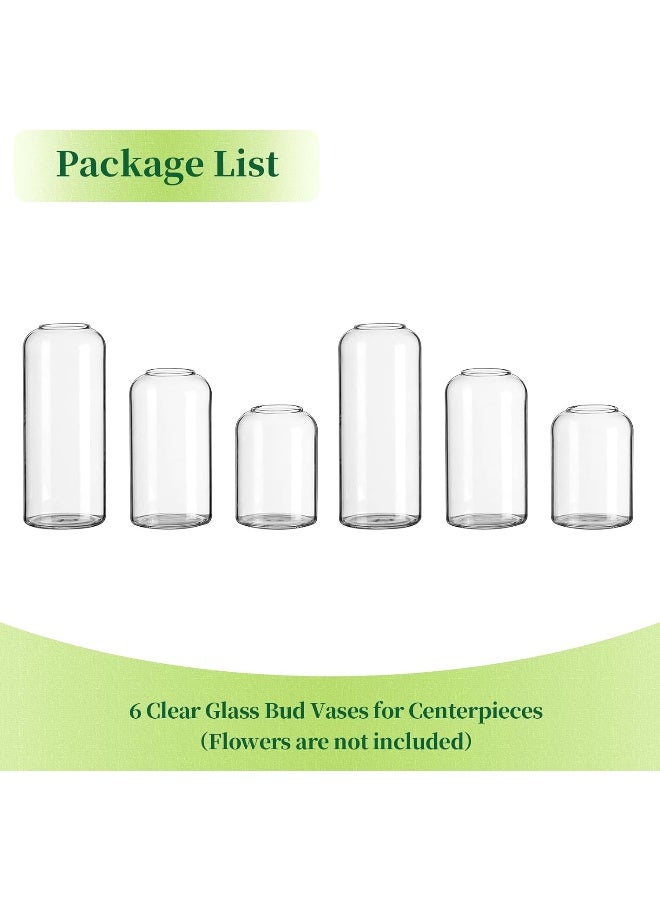 Glass Clear Modern Vase, Set Of 6 - Small Bud Vases For Flowers, Elegant Home Decor Floral Arrangements, Wedding Party Events Centerpieces